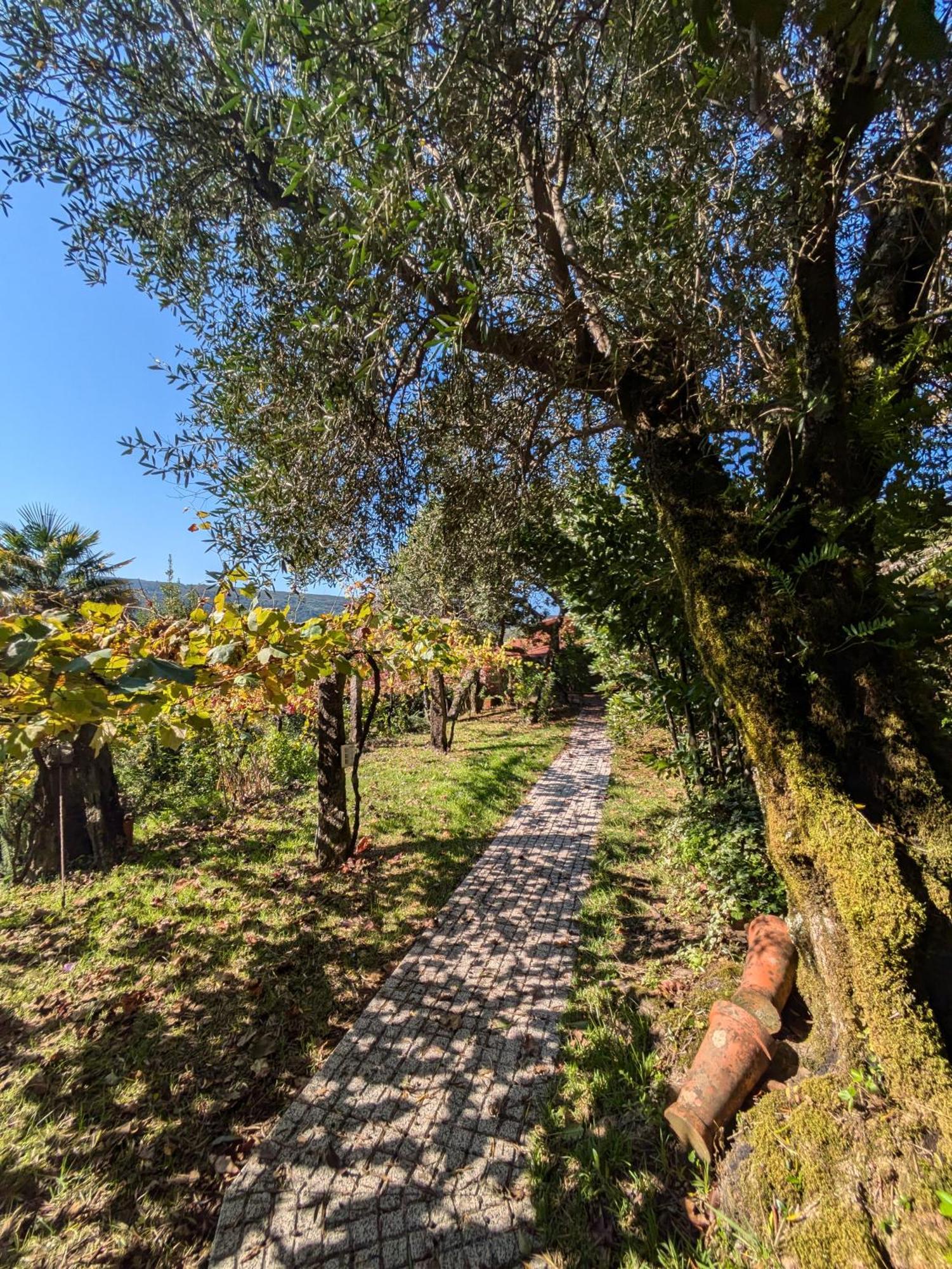 Casa Do Valo Villa Amonde ภายนอก รูปภาพ
